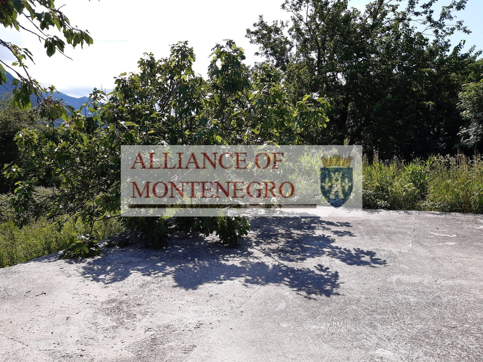 arenda-v-cernogorii