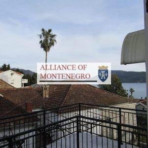Studija v Herceg Novi