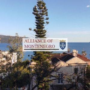 Chast villi v Herceg Novi