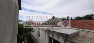 Studija v Chernogoriji