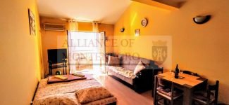 Студия на Автобуске. Центр. Херцег Нови.