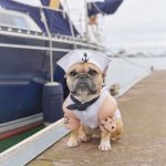 vnz-na-yahte-v-cernogorii